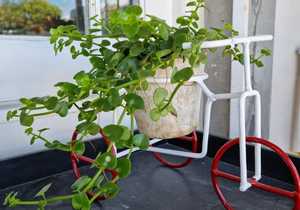 Great Festival Gift Ideas For The Upcoming Season