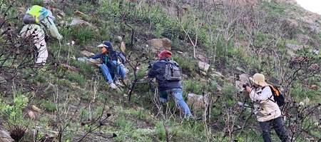 Fire_monitoring__1638448734