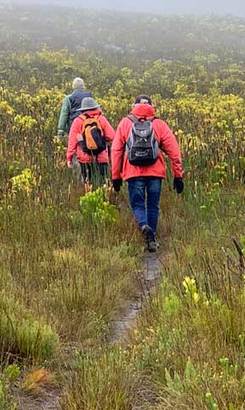 Hiking_in_the_rain_1__1638448767