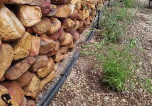 Micro-Sprinkler Irrigation System Installation in Perlemoenbaai