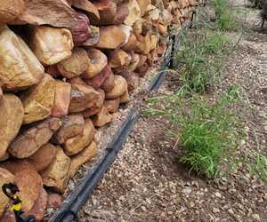 Micro-Sprinkler Irrigation System Installation in Perlemoenbaai