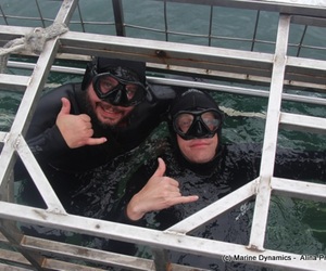 Daily Blog: 07 December 2021 | Shark Cage Diving in South Africa