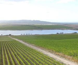 19 December 2021: Wine Walk at Lomond