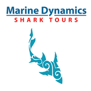 Next Marine Dynamics Shark Cage Diving Trip: 10 December 2021