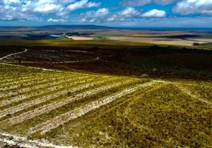 R9,850,000 | 422Ha Farm For Sale in Wolvengat