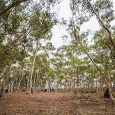 Paintball - Rivals Paintball - Xplorio™ Gansbaai