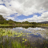 Dam to Canoe - Akkersdrift - Xplorio™ Gansbaai