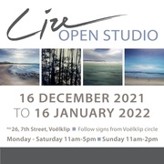 Lize Open Studio 16 December 2021 - 16 January 2022