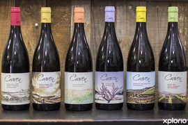 'tis the Season, and we're OPEN every day...