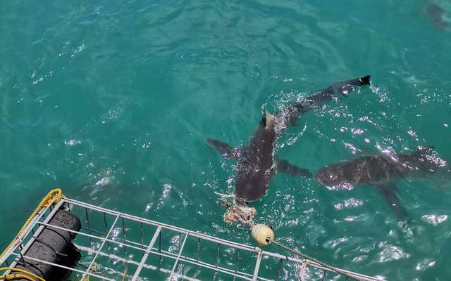 WhatsApp_Image_2022_01_06_at_08.38.57_3__1641455003