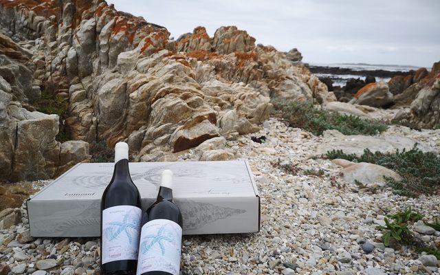 271768868_6773706222670608_2953489753662519967_n_1641969531