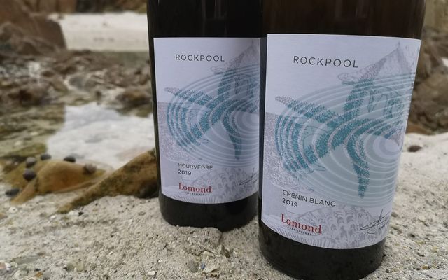 271776008_6773706219337275_6976422872891925146_n_1641969530