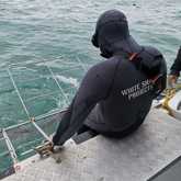 Shark Cage Diving - White Shark Projects - Xplorio™ Gansbaai