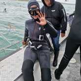 Shark Cage Diving - White Shark Projects - Xplorio™ Gansbaai