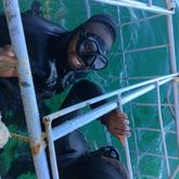 Shark Cage Diving - White Shark Projects - Xplorio™ Gansbaai