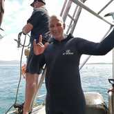 Shark Cage Diving - White Shark Projects - Xplorio™ Gansbaai