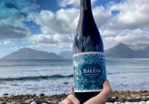 Saturday | Sunday Weekend Tasting (Baleia Vinhos Rochas)