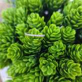 Ring - Tanzanites and Diamonds of Hermanus - Xplorio™ Hermanus