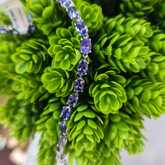 Necklace - Tanzanites and Diamonds of Hermanus - Xplorio™ Hermanus