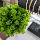 Bracelets - Tanzanites and Diamonds of Hermanus - Xplorio™ Hermanus