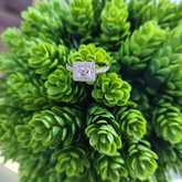 Ring - Tanzanites and Diamonds of Hermanus - Xplorio™ Hermanus