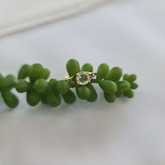 Ring - Tanzanites and Diamonds of Hermanus - Xplorio™ Hermanus