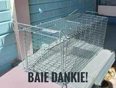 Cat Cage Donated by Mrs. Naude from De Kelders