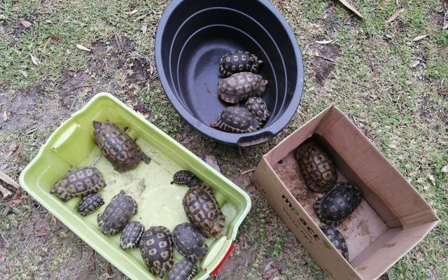 271849384_234915412149945_3224466774699722519_n_1642164399 271849384_234915412149945_3224466774699722519_n_1642164399