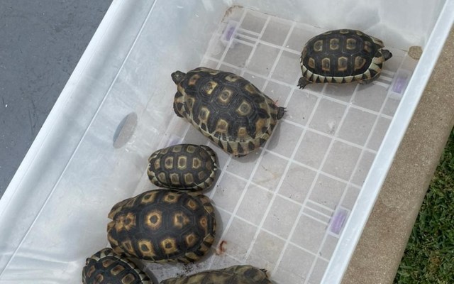 271858439_234916165483203_8807554426921524525_n_1642164400 271858439_234916165483203_8807554426921524525_n_1642164400