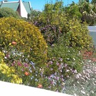 Arniston - Element Ecosystems - Xplorio™ L'Agulhas