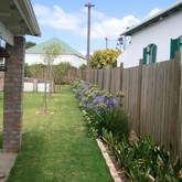 Napier - Element Ecosystems - Xplorio™ L'Agulhas