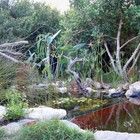 Natural Pool - Element Ecosystems - Xplorio™ L'Agulhas