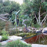 Natural Pool - Element Ecosystems - Xplorio™ L'Agulhas