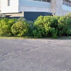 Arniston - Element Ecosystems - Xplorio™ L'Agulhas