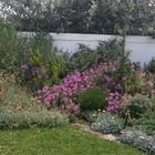 Fynbos - Element Ecosystems - Xplorio™ L'Agulhas