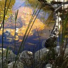 Natural Pool - Element Ecosystems - Xplorio™ L'Agulhas