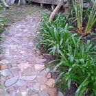 Rock Path - Element Ecosystems - Xplorio™ L'Agulhas