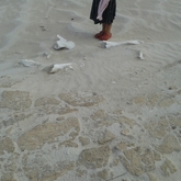 Agulhas - Africa Tip Trails - Xplorio™ L'Agulhas