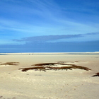 Arniston - Africa Tip Trails - Xplorio™ L'Agulhas