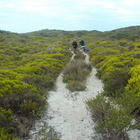 Arniston - Africa Tip Trails - Xplorio™ L'Agulhas