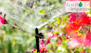 Automate Watering Your Garden