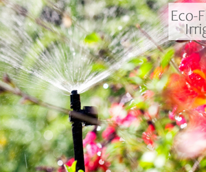 Automate Watering Your Garden