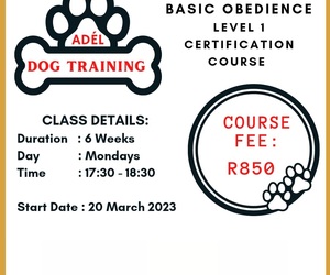 Basic Home Obedience Training Course