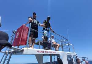 Shark Cage Diving Trip