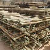 Fynbos Pole Depot Hermanus - Xplorio™ Hermanus