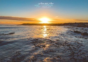 Beyond Grateful For The Support