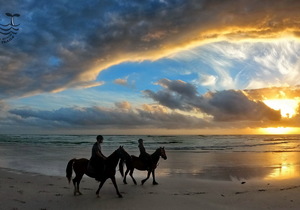 VALENTINE'S CHOC & BUBBLY TRAIL