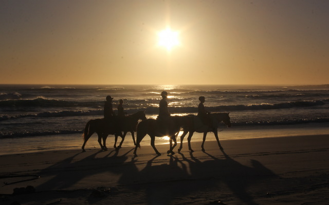 Gansbaai & Pearly Beach Horse Trails