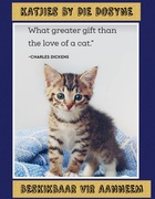 Kittens Up For Adoption