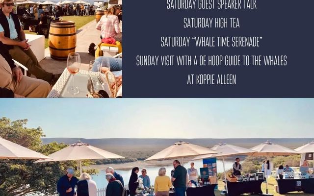 273043611_10159172226826677_7642264984696959529_n_1643786624